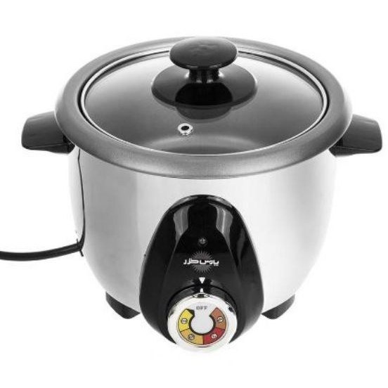 پلوپز صادراتی 2 نفره مدل RC61TSE-110V